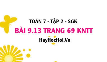 Bài 9.13 trang 69 Toán 7 Tập 2 Kết nối tri thức